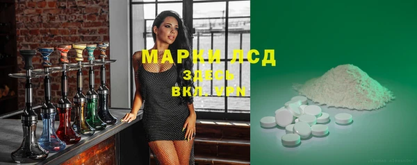 apvp Алзамай