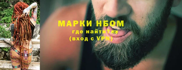 apvp Алзамай