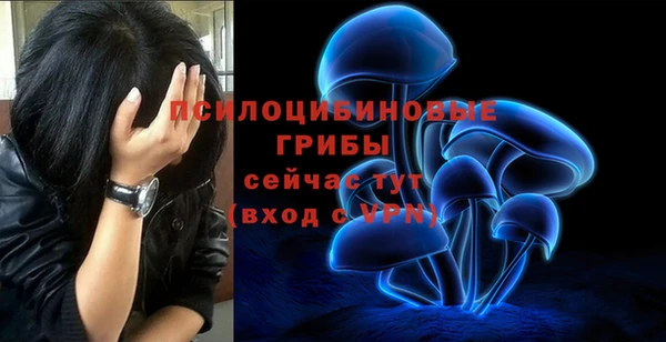 ALPHA-PVP Алексин