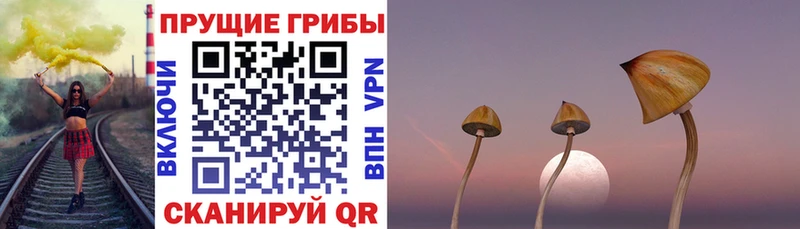 Псилоцибиновые грибы Magic Shrooms  omg сайт  darknet телеграм  даркнет сайт  Слюдянка 